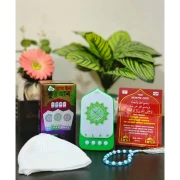 Plug in Quran Illuminated Quran and Hadith speaker